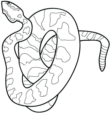 Python Snake Drawing | Free download on ClipArtMag