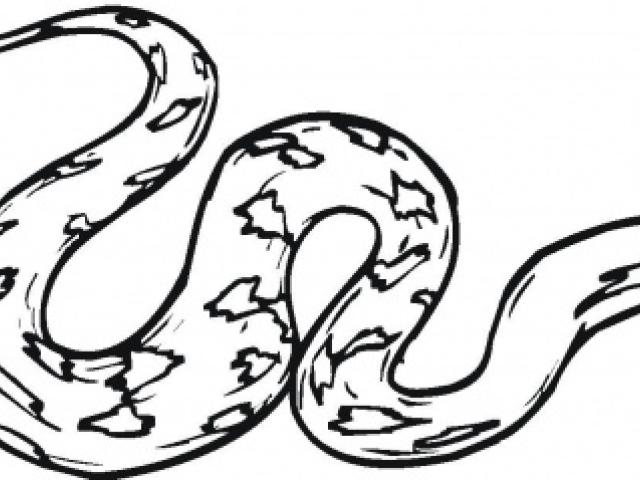 Python Snake Drawing | Free download on ClipArtMag