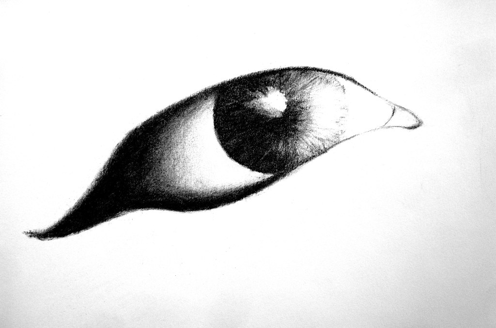 1024x677 Pencil Sketch