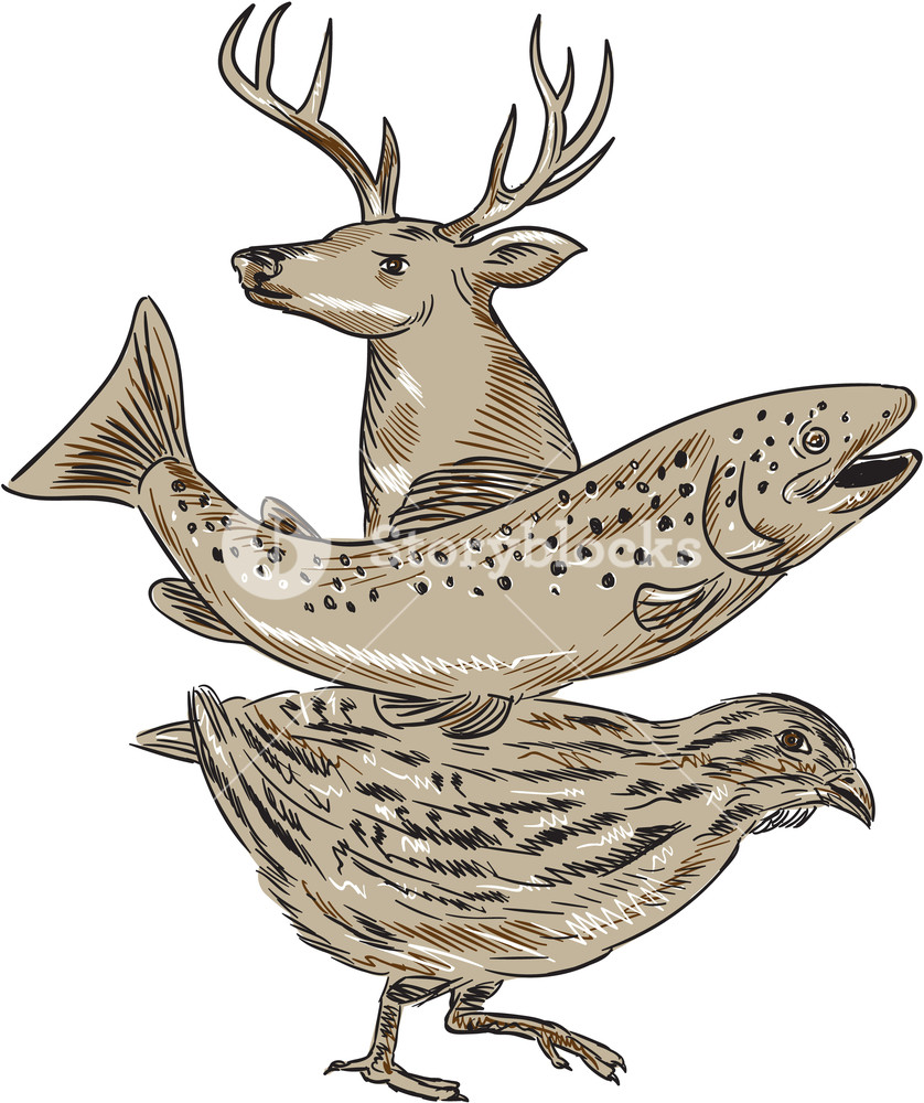 838x1000 Drawing Sketch Style Illustration Of A Deer, Trout And Quail