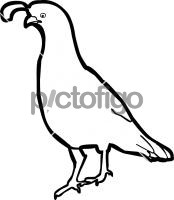 174x200 Freehand Drawing Image From Pictofigo For Gambel's Quail