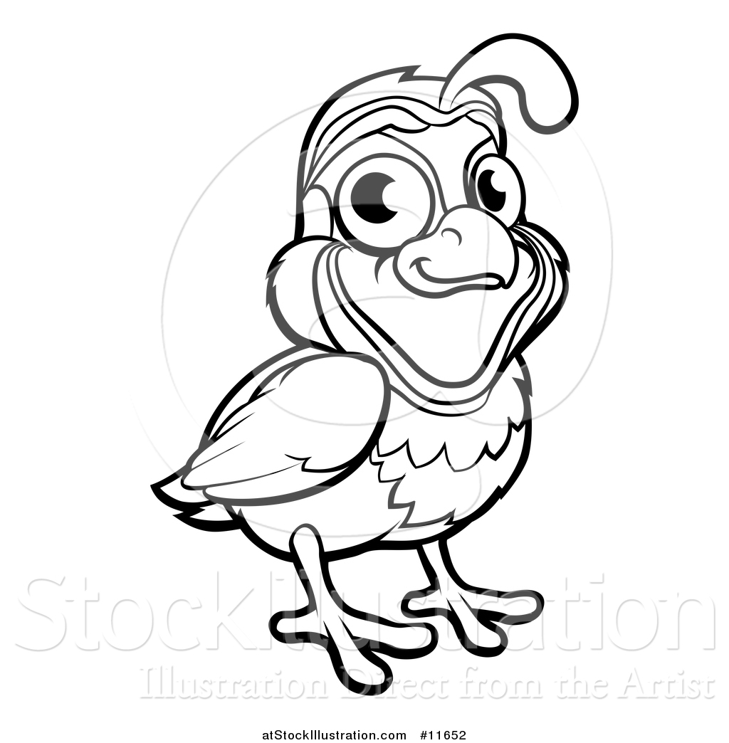 1024x1044 Vector Illustration Of A Black And White Quail Bird