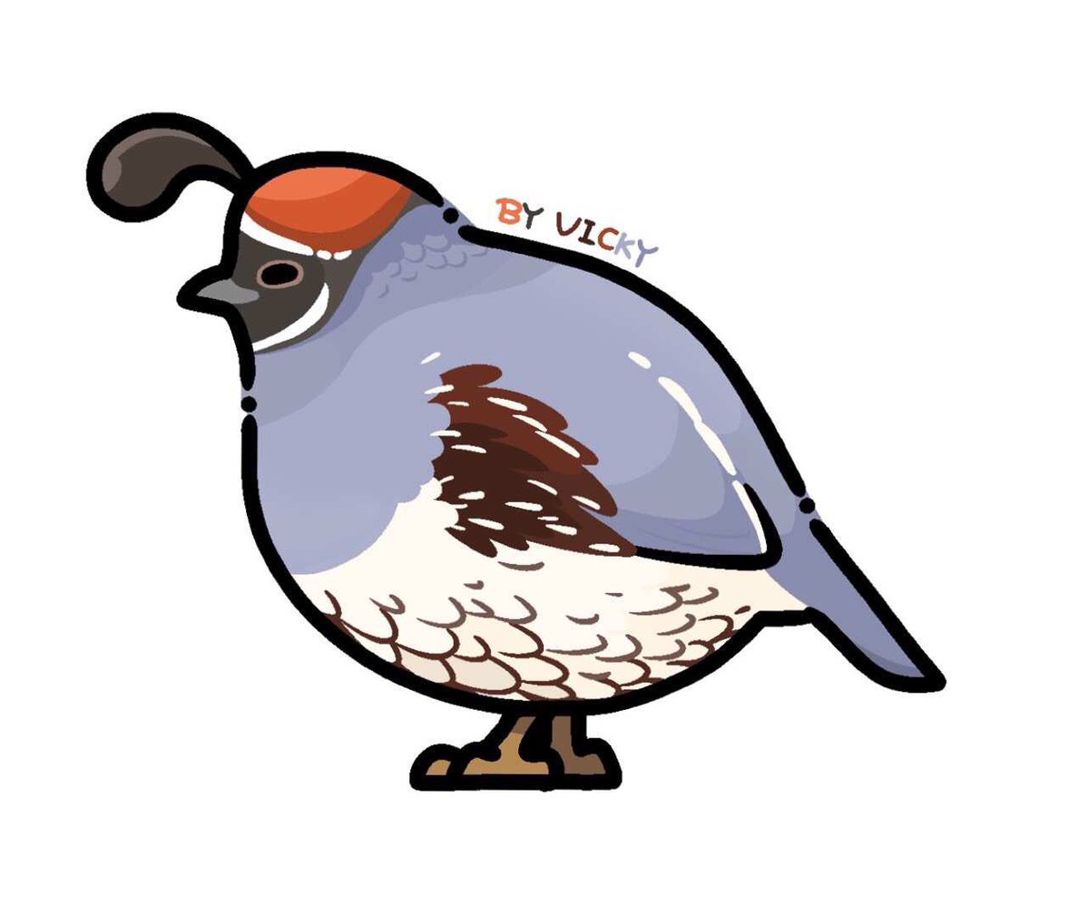 1200x1008 Cutequails Hashtag On Twitter