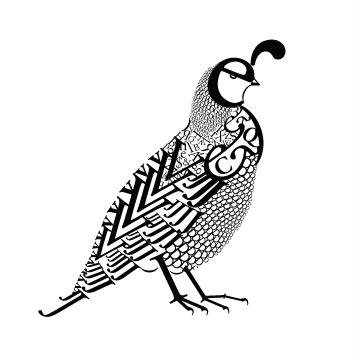 360x360 Quail Logo Melissatwin