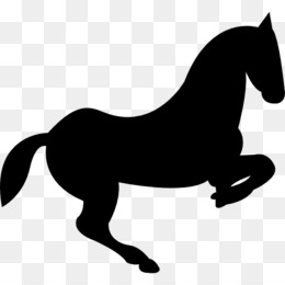 260x260 Appaloosa Png Free Download