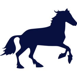 260x260 Equestrian, Animal, Drawing, Transparent Png Image Clipart Free