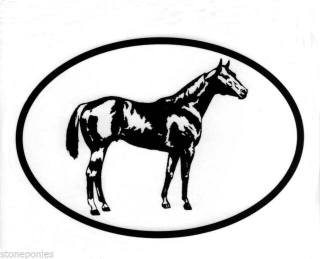 640x518 Equine Breed Oval Vinyl Decal Black White Sticker