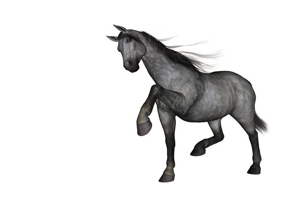 600x400 Quarter Horse Art