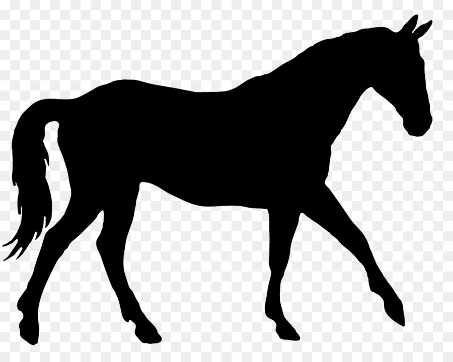 900x720 Quarter Horse Clipart