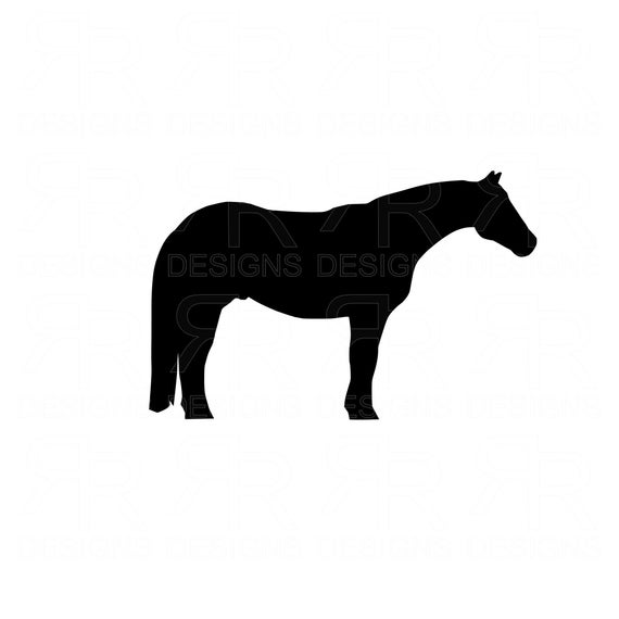 570x570 Quarter Horse Gelding Clip Art Ranch Horse Etsy