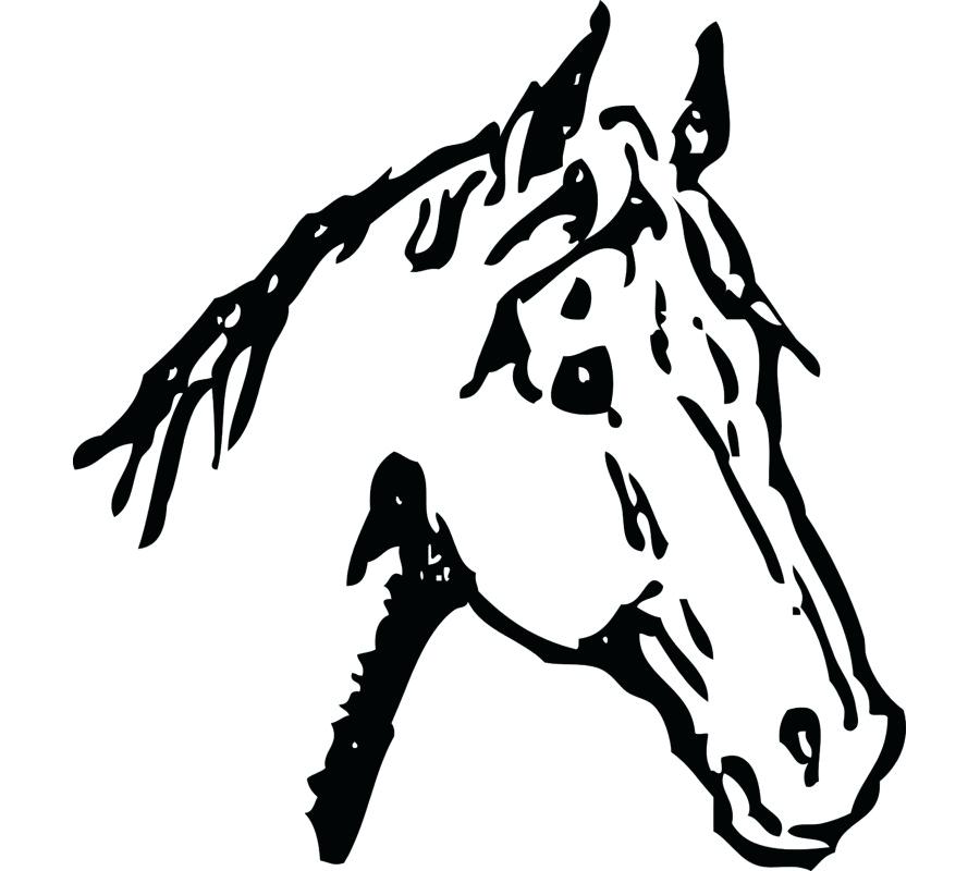 900x800 Mustang Horse Head