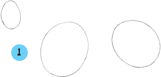 525x252 American Quarter Horse