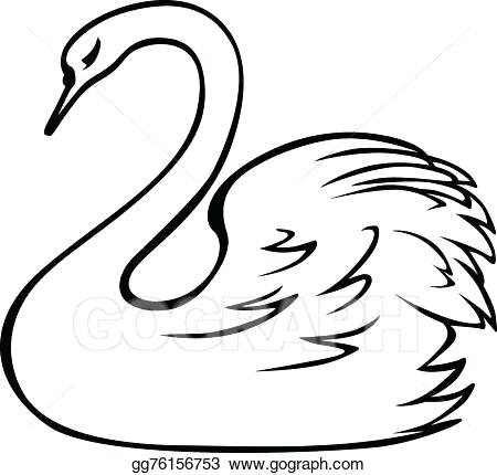 450x430 Drawing Of Swan X Swan Drawing Swan Queen Drawing Zupa
