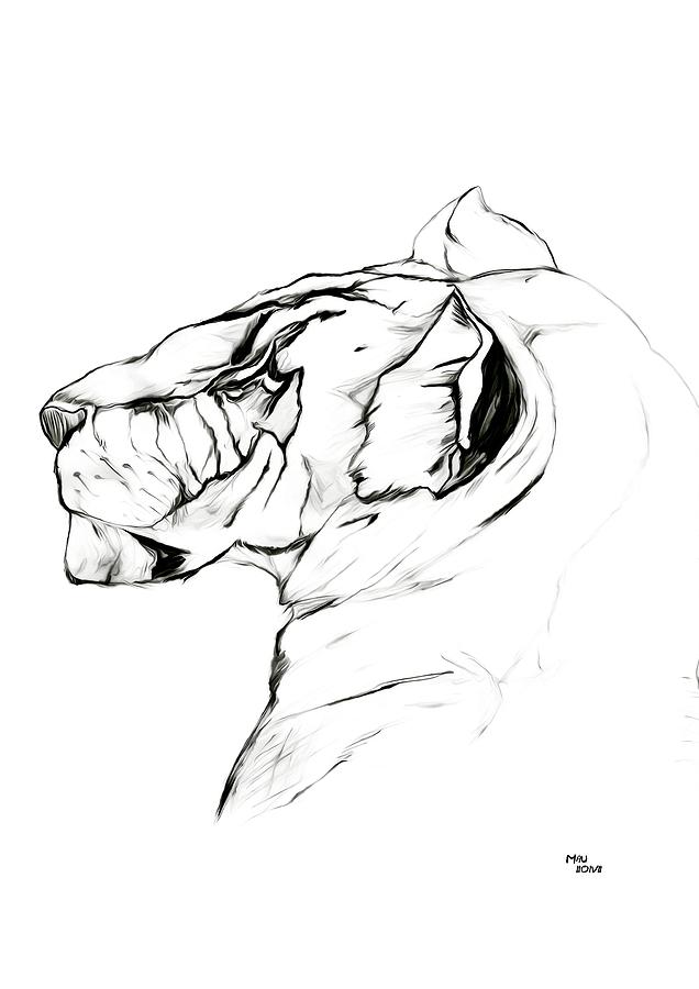 636x900 Queen Drawing