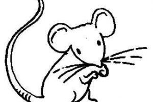 300x200 Queen Elizabeth Ii Clipart Clipart Portal