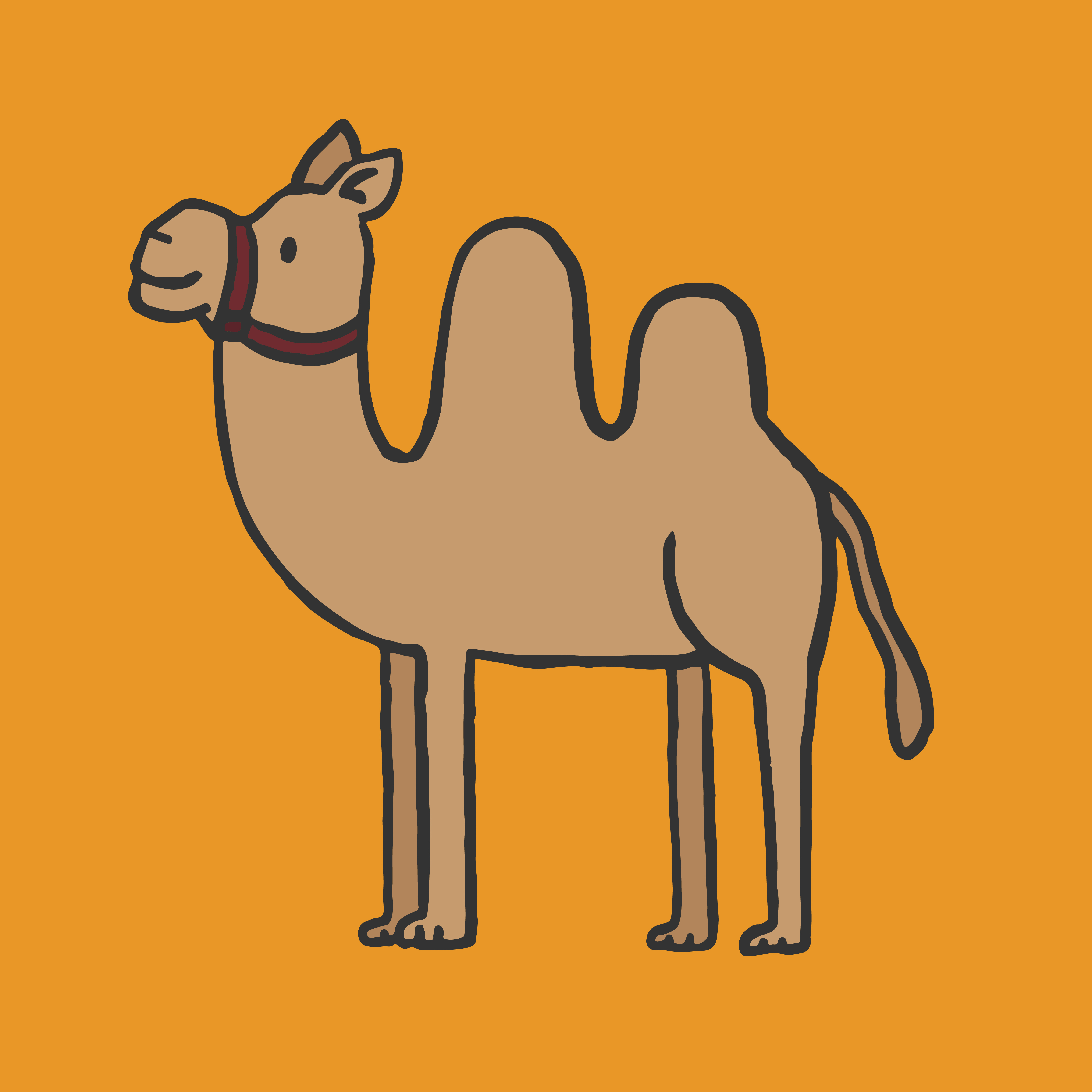 4675x4675 Hand Drawn Camel Illustration