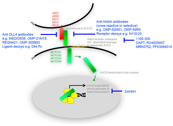 550x403 molecules february