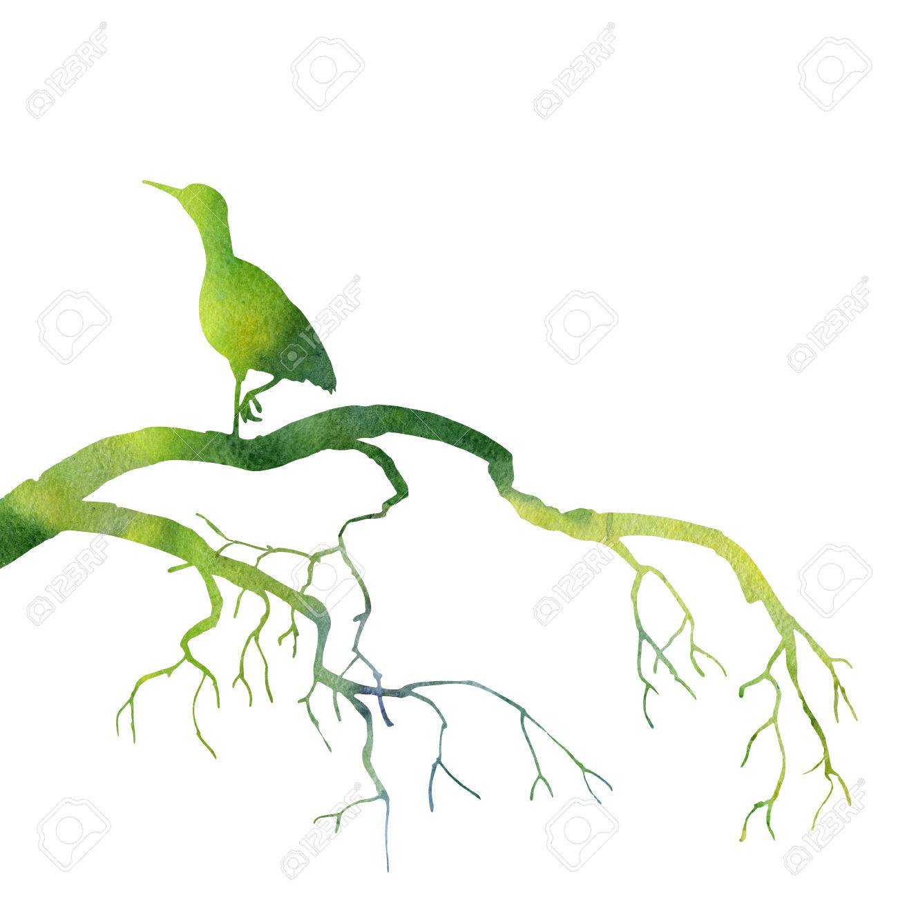 1300x1300 Huge Collection Of 'green Bird Drawing' Download More Than