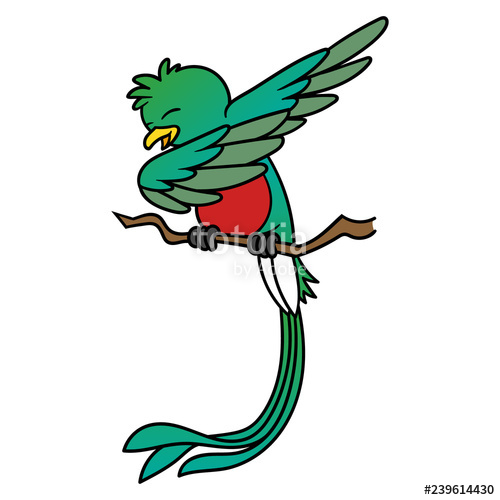 Quetzal Bird Drawing | Free download on ClipArtMag