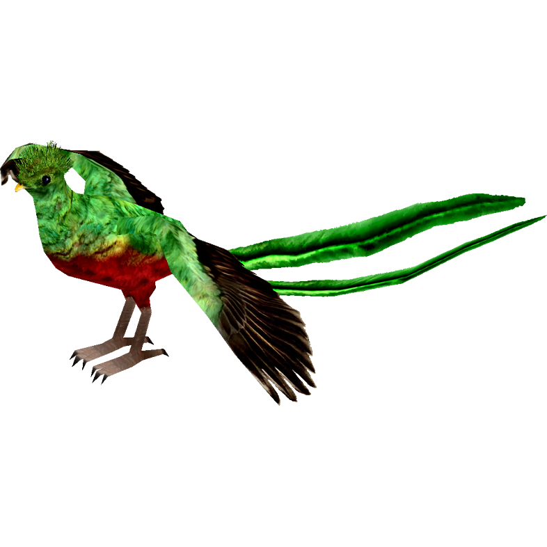 786x786 Collection Of Free Transparent Bird Quetzal Download On Ui Ex