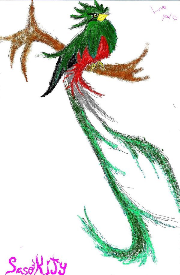 600x916 Guatemala Quetzal Bird Drawings