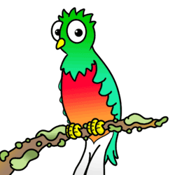 250x250 How To Draw A Quetzal Bird