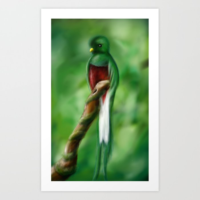700x700 Quetzal Art Print