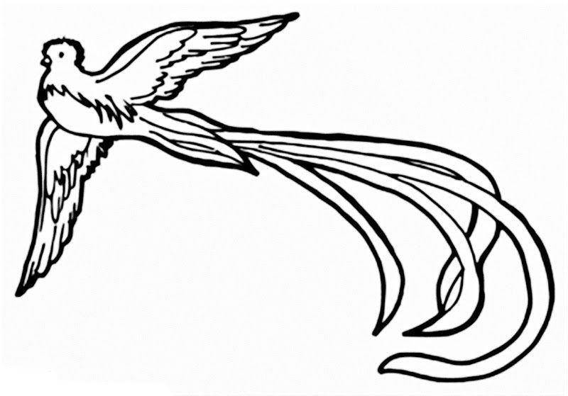 800x559 mayan drawing quetzal for free download