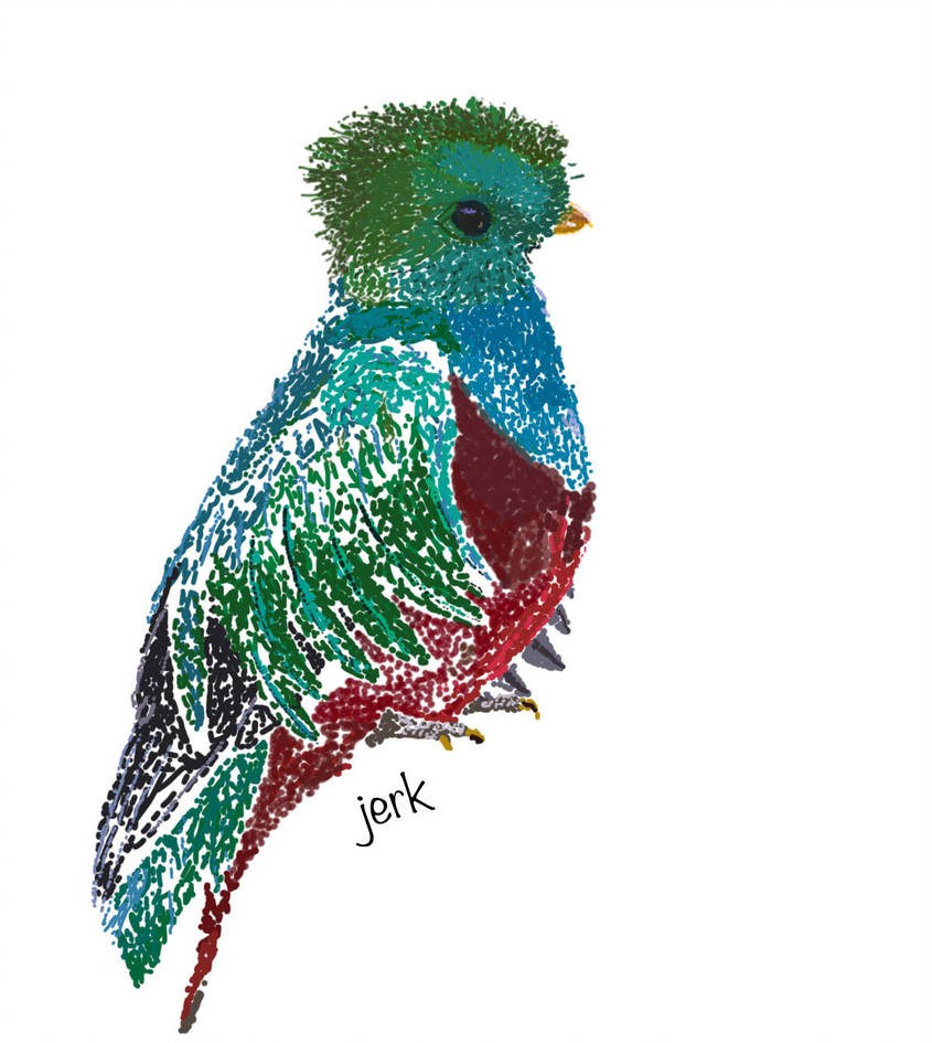 845x945 Quetzal Pointallism Drawing