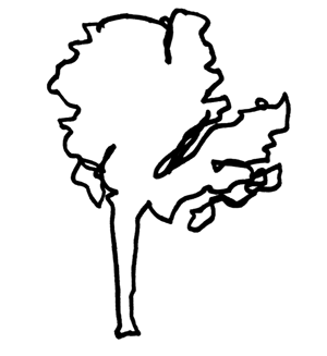 300x327 Sketch Things Better With The Ways Of Seeing Kate Rutter Medium