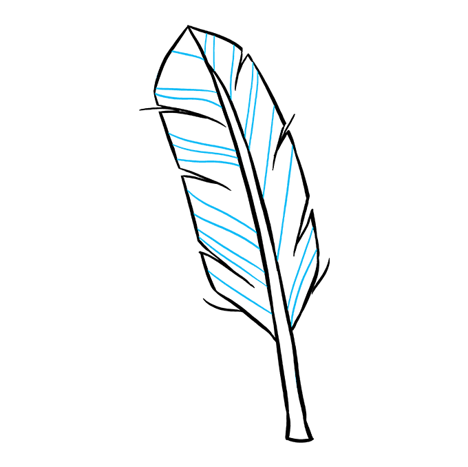 680x678 How To Draw A Feather