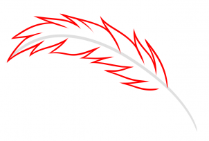 302x204 draw a quill, quill pen, step