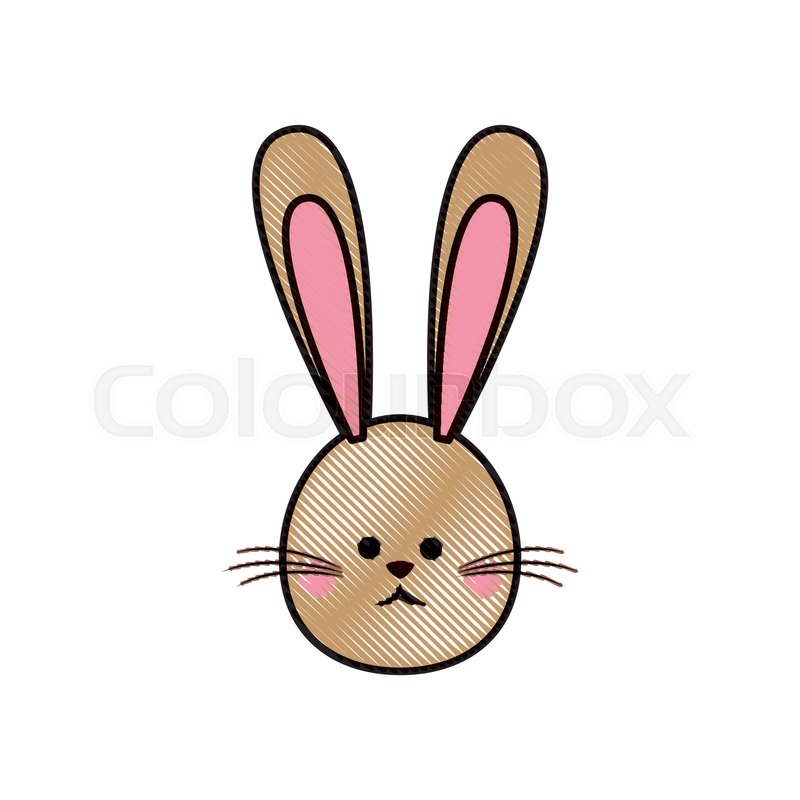 800x800 Drawing Cute Head Rabbit Easter Symbol Stock Vector Colourbox