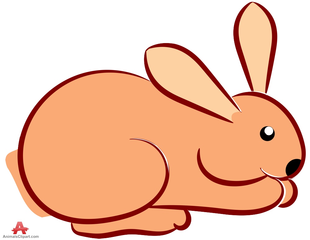999x774 Drawing Pictures Of Rabbit Clipart Best