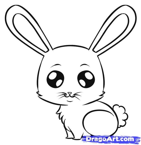 564x580 Drawn Rabbit Drawing