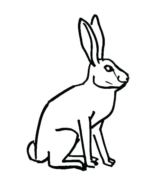 560x643 Rabbit Drawing For Kids How To Draw Rabbits For Kids Step