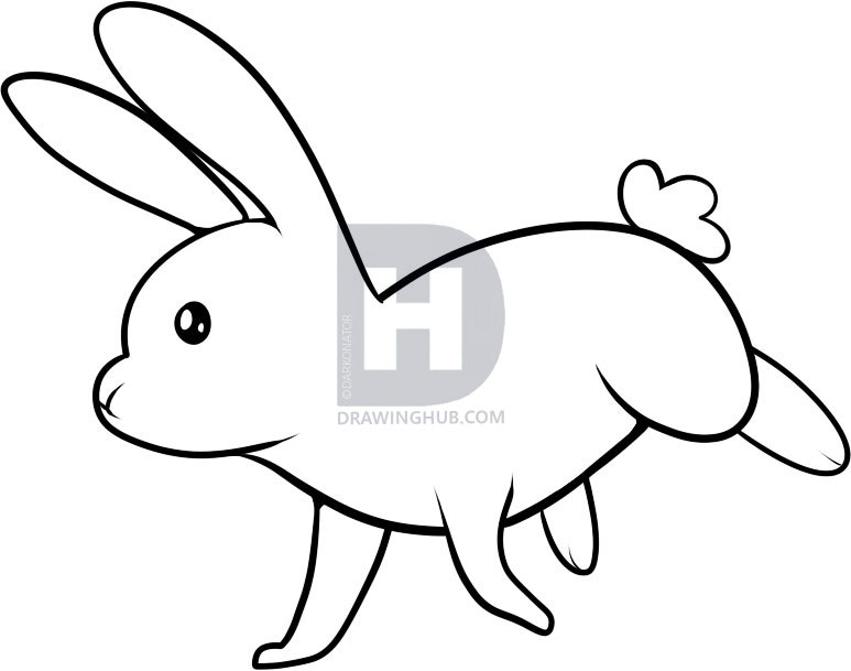 773x609 How To Draw A Rabbit For Kids, Step