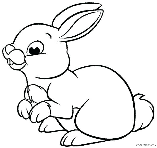 Rabbit Drawing For Kids | Free download on ClipArtMag