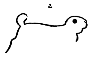 300x190 How To Draw A Rabbit Step