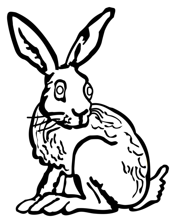 592x750 Domestic Rabbit Hare Black And White Line Art Drawing Cc0