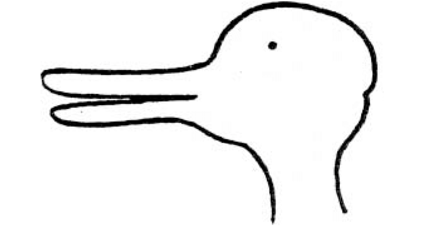 850x467 Duck Rabbit Drawing Download Scientific Diagram