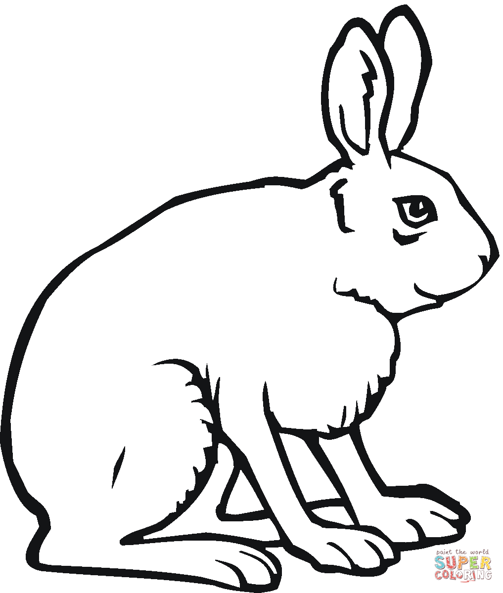 1017x1200 Jack Rabbit Clipart Drawing