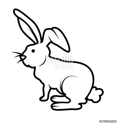 476x500 Rabbit Drawing Stock Image And Royalty Free Vector