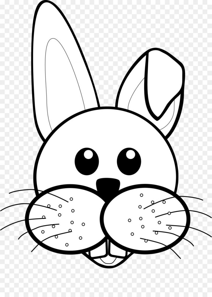 728x1019 Bunny Rabbit Drawing Easy Of Outline Video Pictures To Cartoon