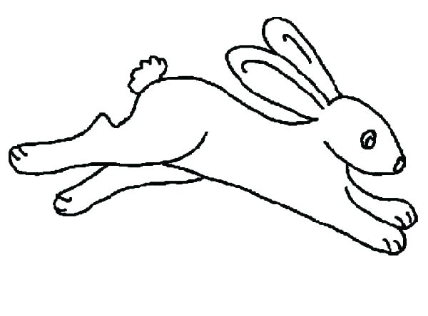 600x444 bunny rabbit outline bunny rabbit outline easter bunny rabbit outline