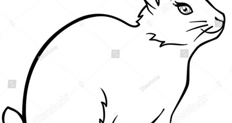 471x250 Bunny Rabbit Outline Directed Step