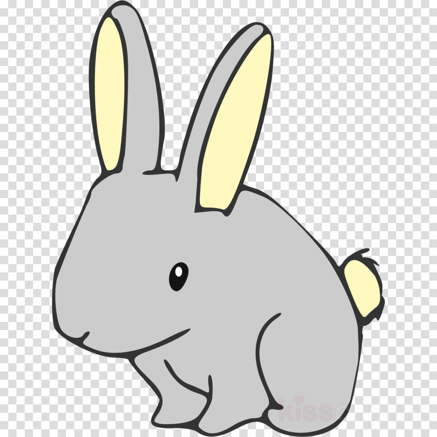 900x900 Rabbit, Transparent Png Image Clipart Free Download