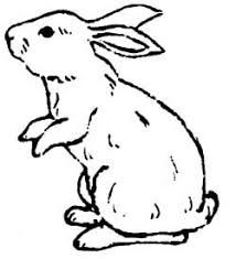 214x235 Image Result For Sitting Rabbit Drawing Creative Art Rabbit