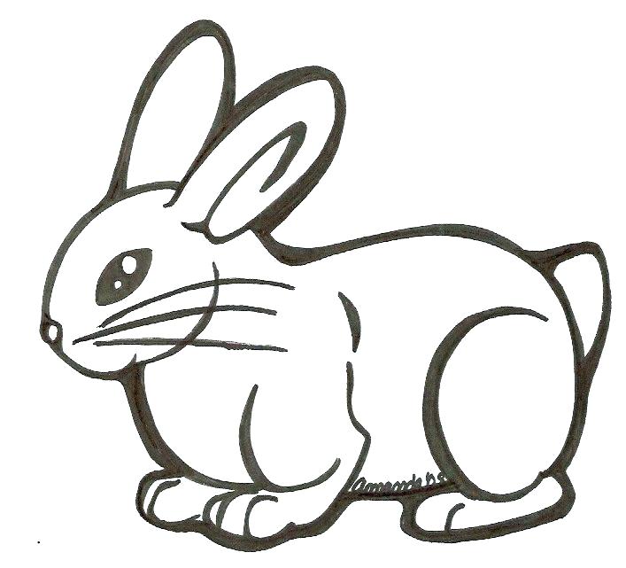 707x641 Easy To Draw Bunny Rabbit Draw A Bunny Easy How To Draw Bunny