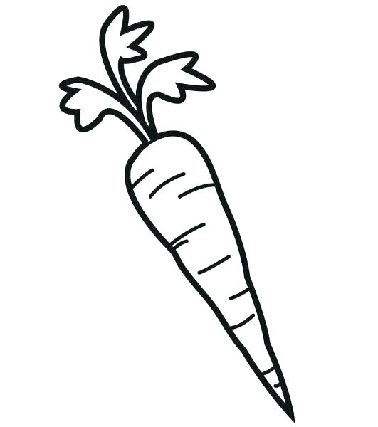 Collection of Carrot clipart | Free download best Carrot clipart on ...